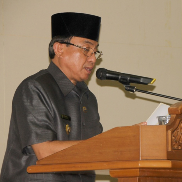 Bupati Inhil Buka Lomba Pacu Jalur